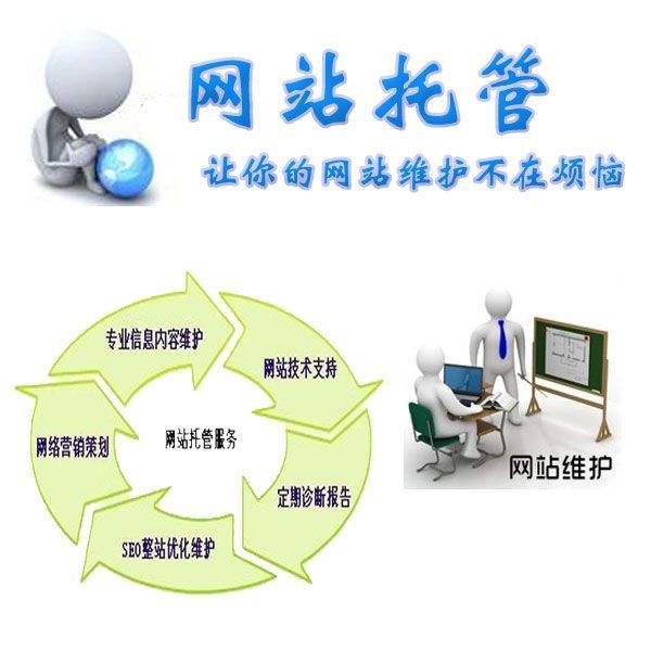 分类网站SEO助力热线：专业工具提升排名与网站优化秘籍