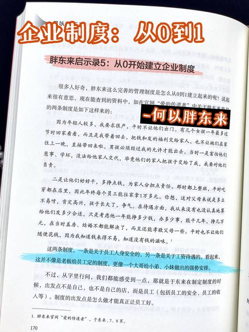 网站SEO优化建议_网站中期怎么优化_企业网站结构优化