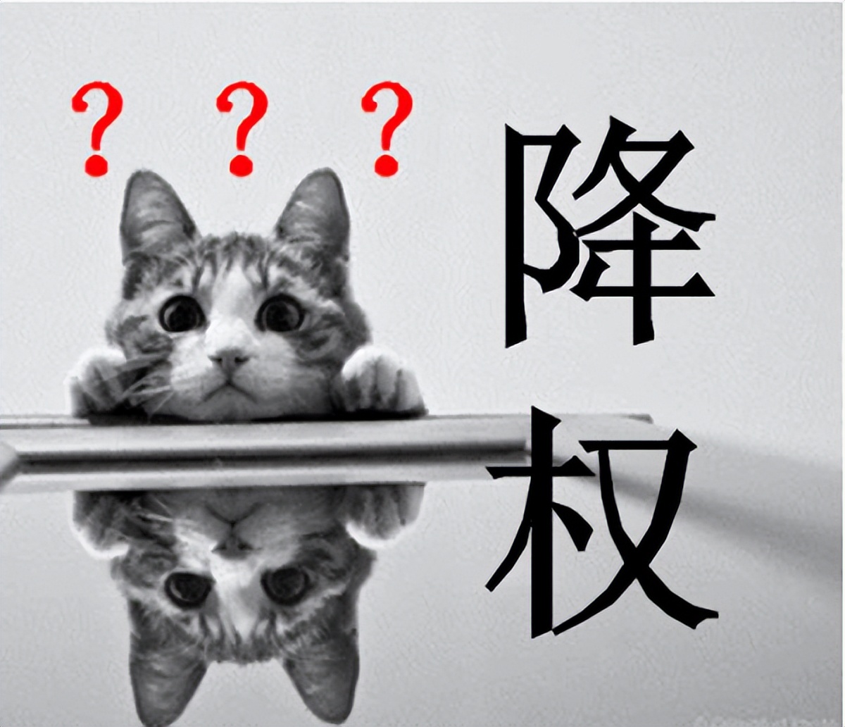 百度对网站优化在打击么_快速排名原理_百度排名点击量分析