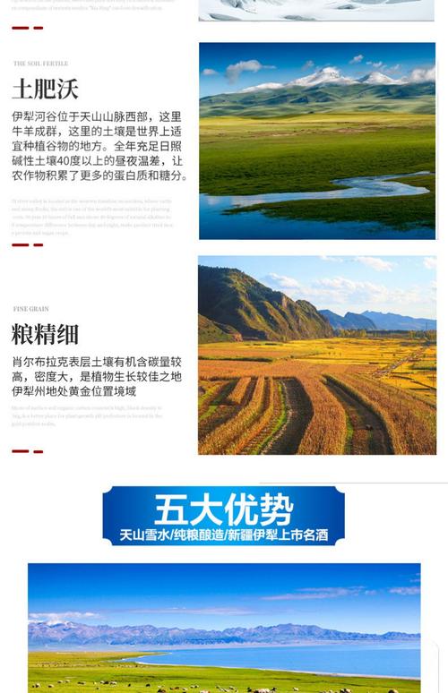 伊犁推广优化网站有哪些_伊犁网络推广公司_伊犁网站优化推广