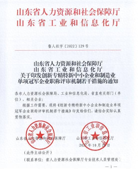 山东省专精特新企业职称评审举荐制_淄博网站优化资质申请_山东省创新专精特新中小企业职称评审措施