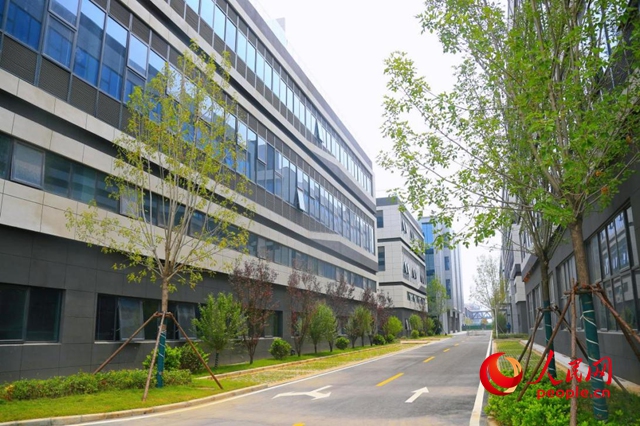 项城网站优化推广方案_河南中小微企业扶持政策_优化河南营商环境