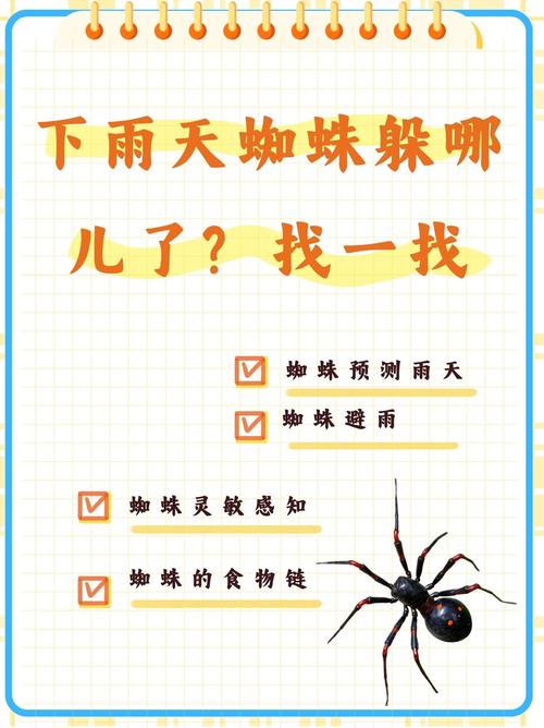 洗碗池爬蜘蛛怎么办啊_蜘蛛爬池洗碗办法视频_蜘蛛爬池洗碗办法是什么