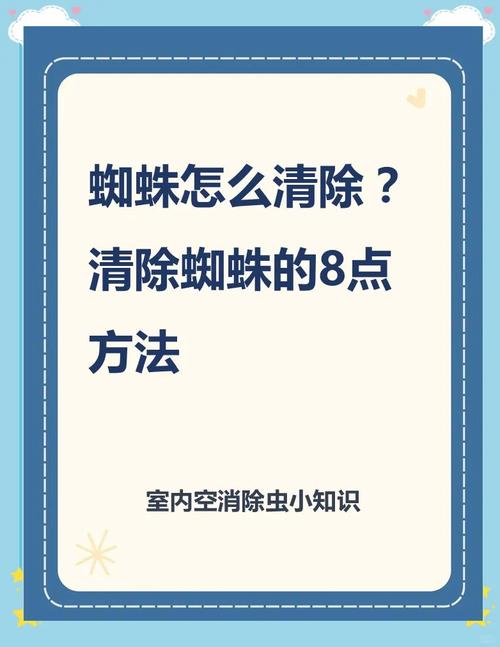 蜘蛛爬池洗碗办法视频_洗碗池爬蜘蛛怎么办啊_蜘蛛爬池洗碗办法是什么