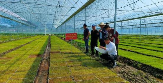 芦溪网站优化公司_芦溪县农业社会化服务_构建合作链条模式