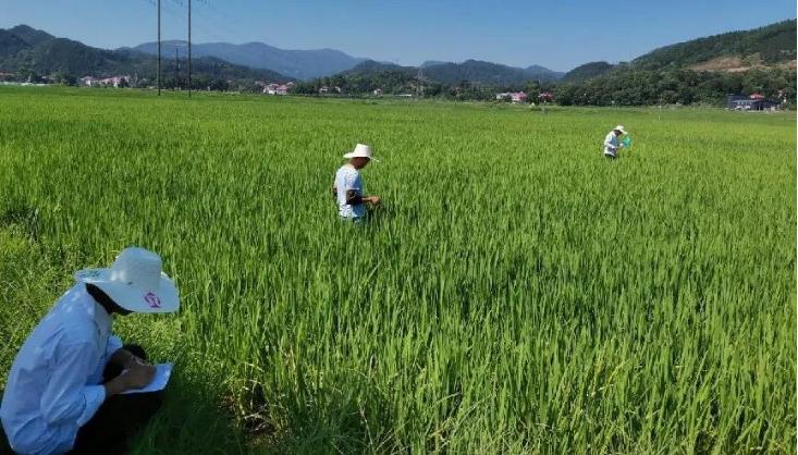 构建合作链条模式_芦溪县农业社会化服务_芦溪网站优化公司