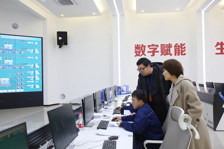 舒城网站优化公司_深化点线面三维监督助力市场主体发展_舒城县纪委监委监督营商环境优化