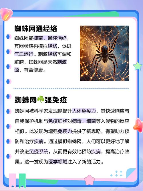 蜘蛛池指甲吗_指甲盖大小的蜘蛛有毒吗_指甲蜘蛛样