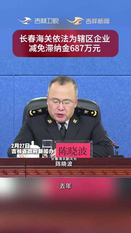 吉林省海关优化营商环境_长春网站优化实战_长春海关提效降费措施