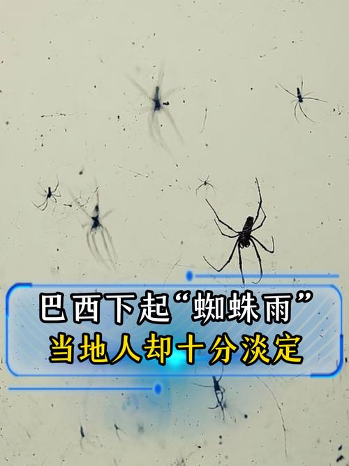 蜘蛛池怎么使用_蜘蛛池飞虫视频_蜘蛛池真的有用吗