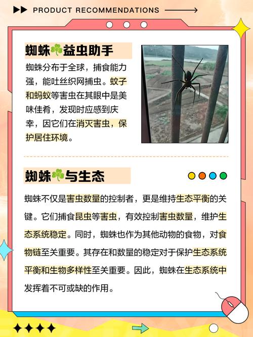 蜘蛛池怎么使用_蜘蛛池飞虫视频_蜘蛛池真的有用吗