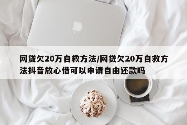 网贷欠20万自救方法/网贷欠20万自救方法抖音放心借可以申请自由还款吗