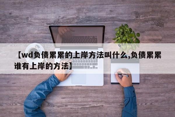 【wd负债累累的上岸方法叫什么,负债累累谁有上岸的方法】