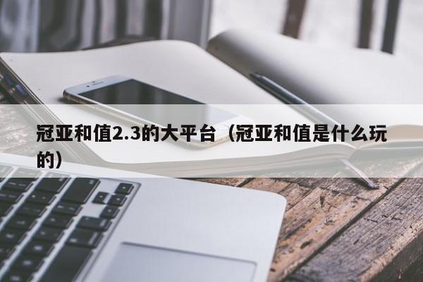 冠亚和值2.3的大平台(冠亚和值是什么玩的)